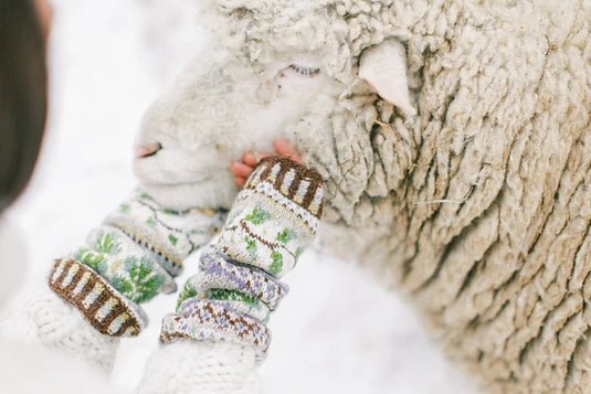 Knits from Northern Lands