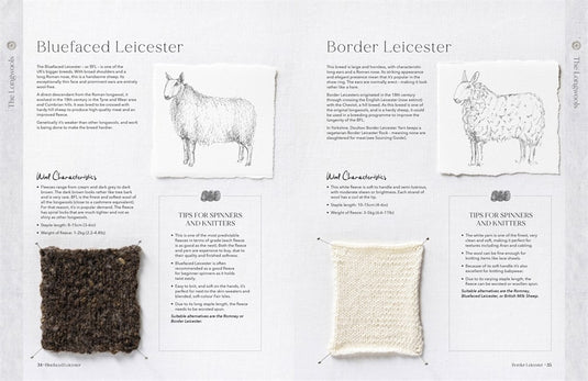 The Wonder of Wool