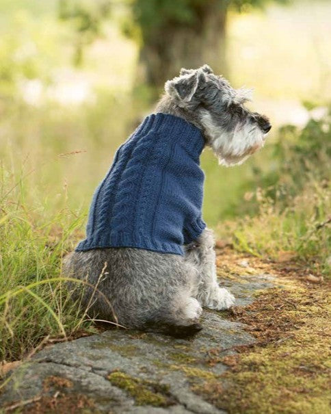 Knits for Dogs