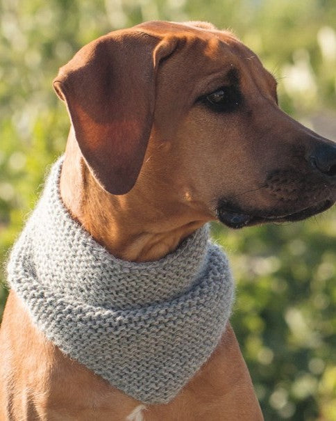 Knits for Dogs