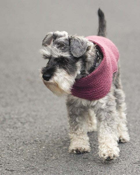 Knits for Dogs