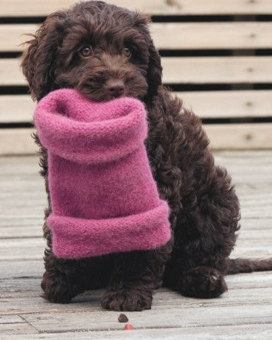 Knits for Dogs