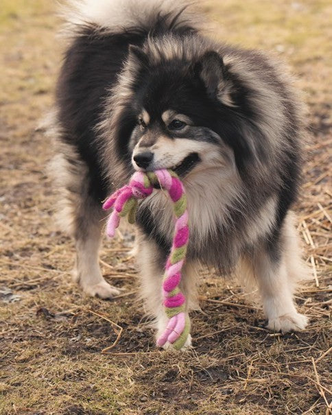 Knits for Dogs