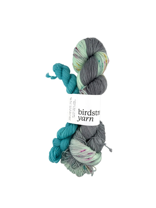 Birdstreet Yarn Sock Set