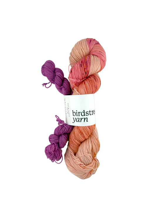 Birdstreet Yarn Sock Set