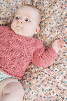 Bloom Book Four. Baby Basics.