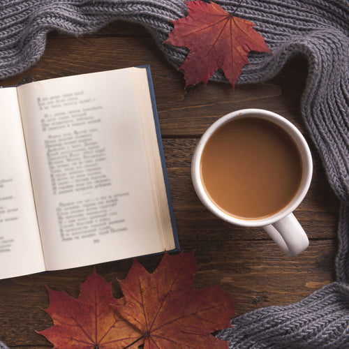 Learn to Knit - 25 Oct 2025