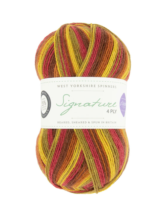 Signature 4ply Sock Yarn