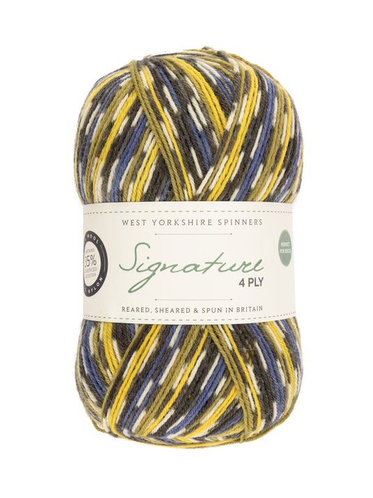 Signature 4ply Sock Yarn