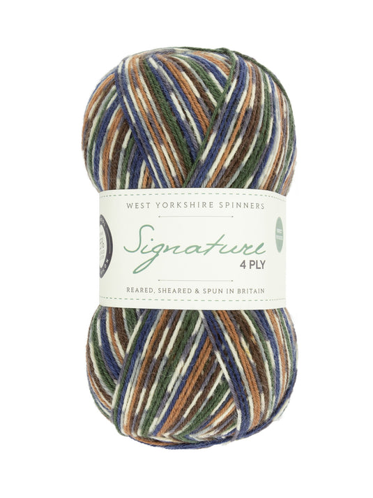 Signature 4ply Sock Yarn