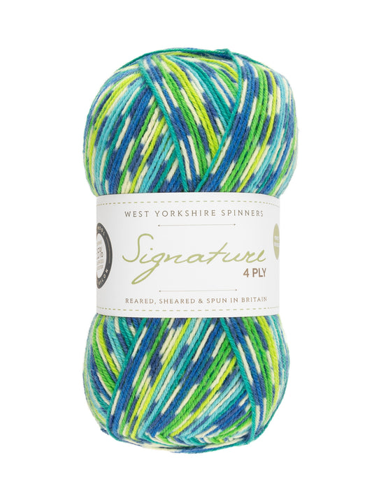 Signature 4ply Sock Yarn