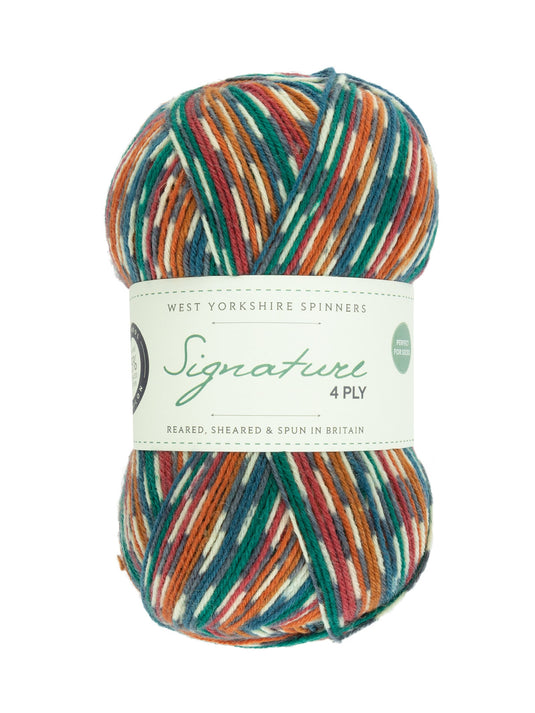 Signature 4ply Sock Yarn