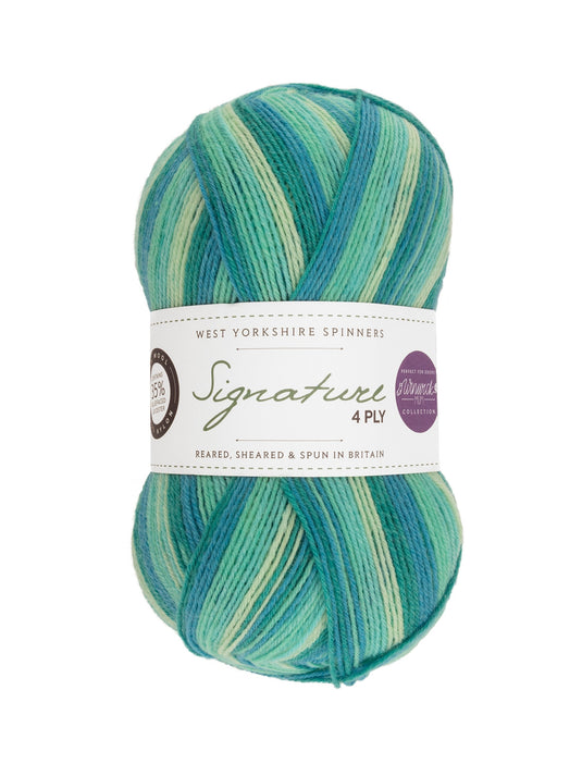 Signature 4ply Sock Yarn