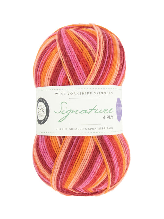 Signature 4ply Sock Yarn