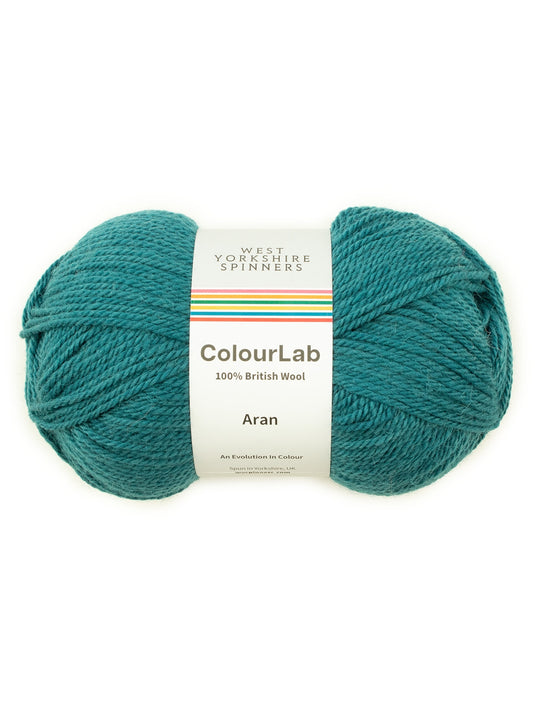 West Yorkshire Spinners ColourLab Aran – Oxford Yarn Store