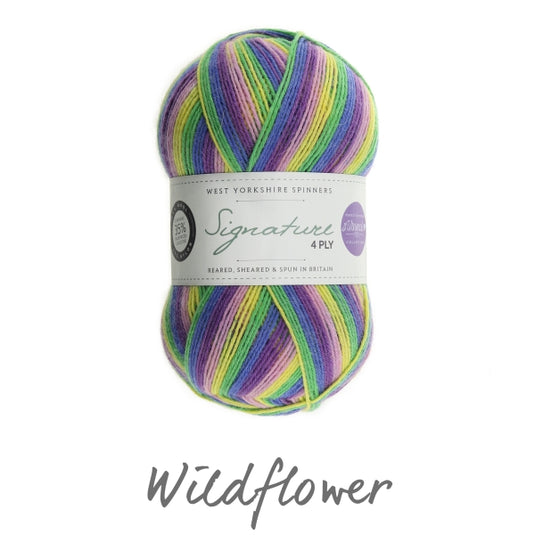 Signature 4 ply Sock Yarn