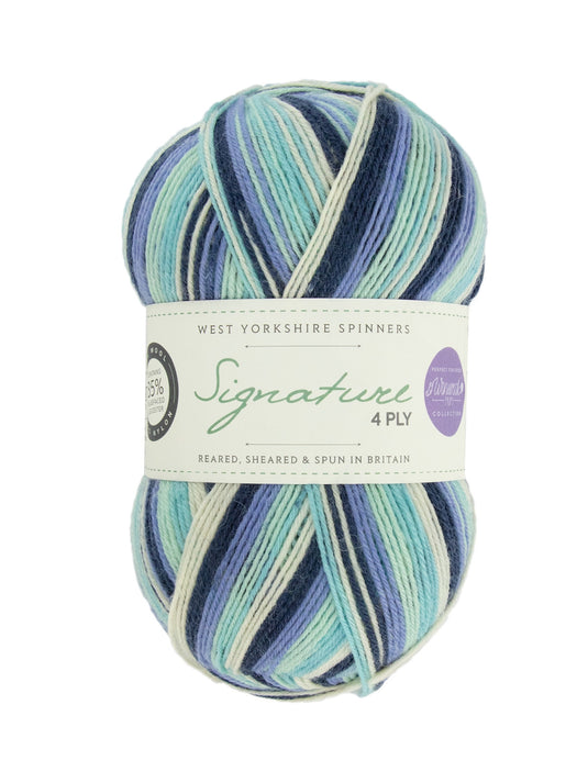 Signature 4ply Sock Yarn