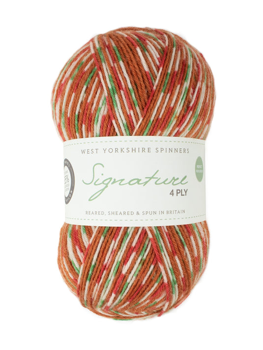 Signature 4ply Sock Yarn